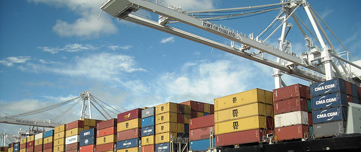 import export trade insurance service
